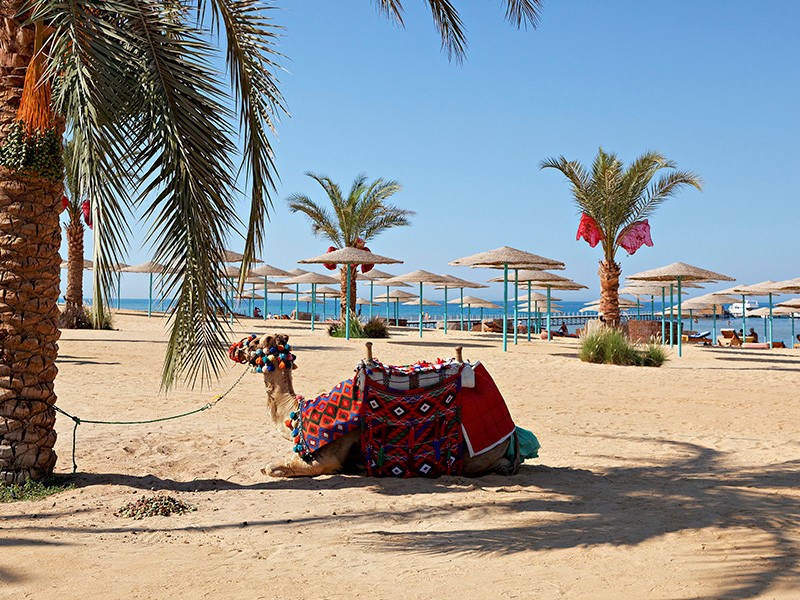 Дешевый отдых в Египте